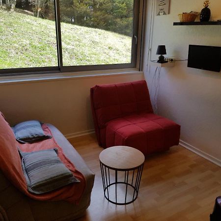 Ferienwohnung Piste verte Besse-et-Saint-Anastaise Exterior foto