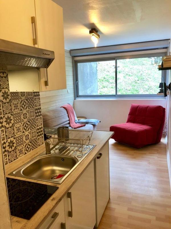 Ferienwohnung Piste verte Besse-et-Saint-Anastaise Exterior foto